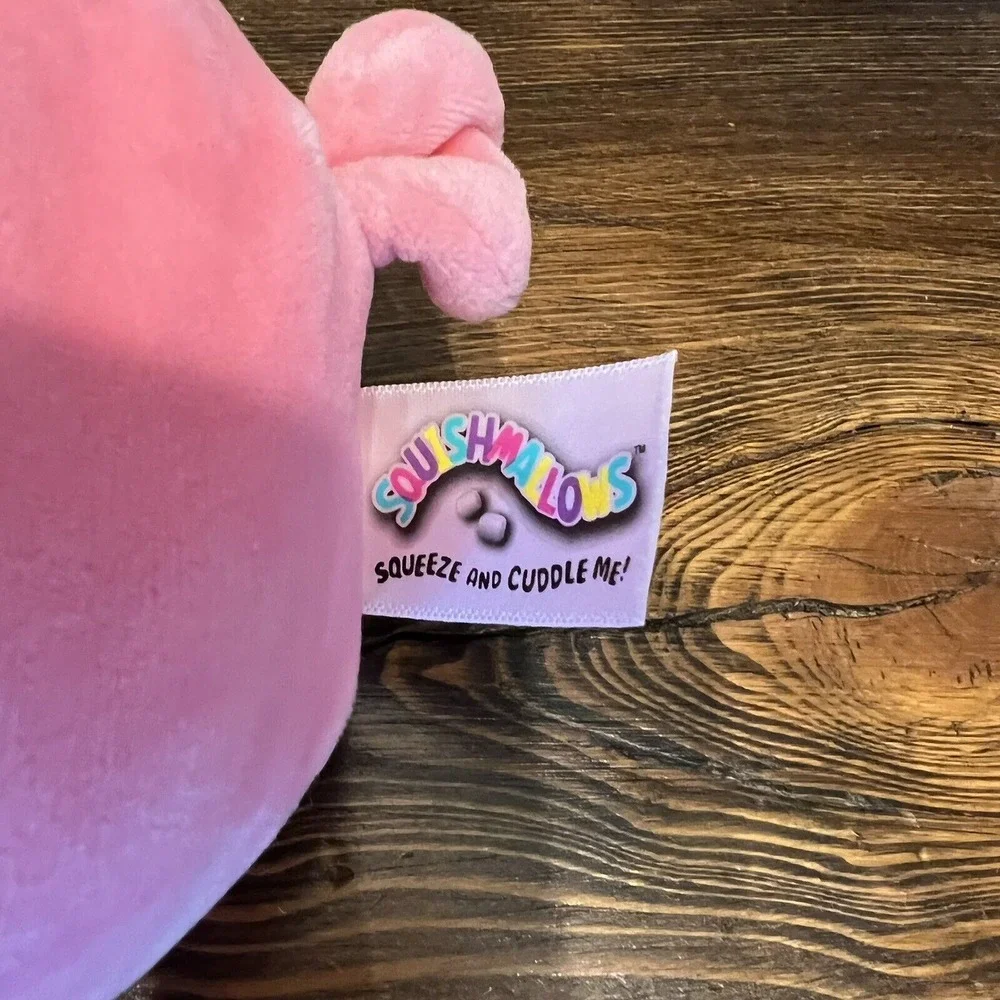 Squishmallows squishmallow francesca