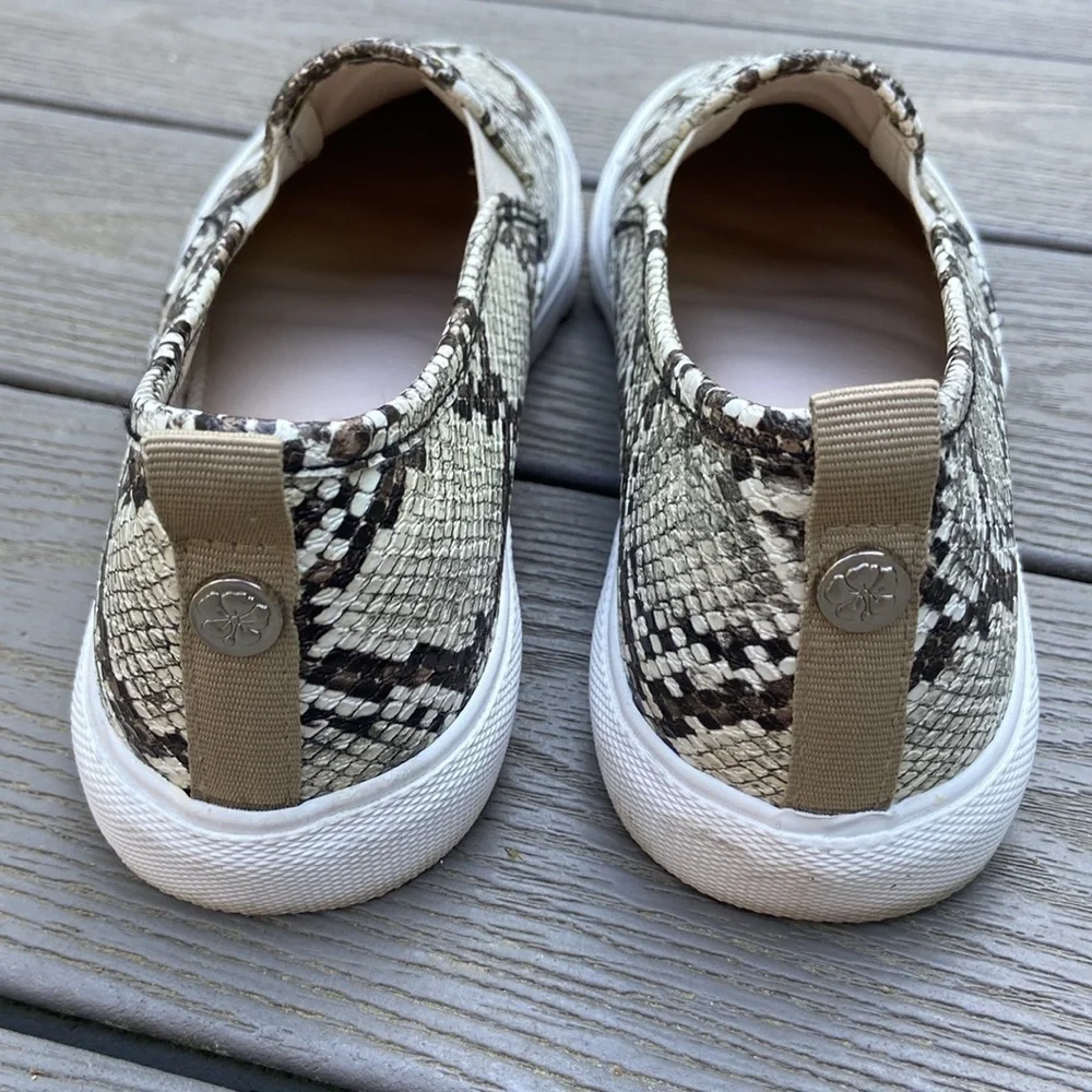 Tommy Bahama tommy bahama