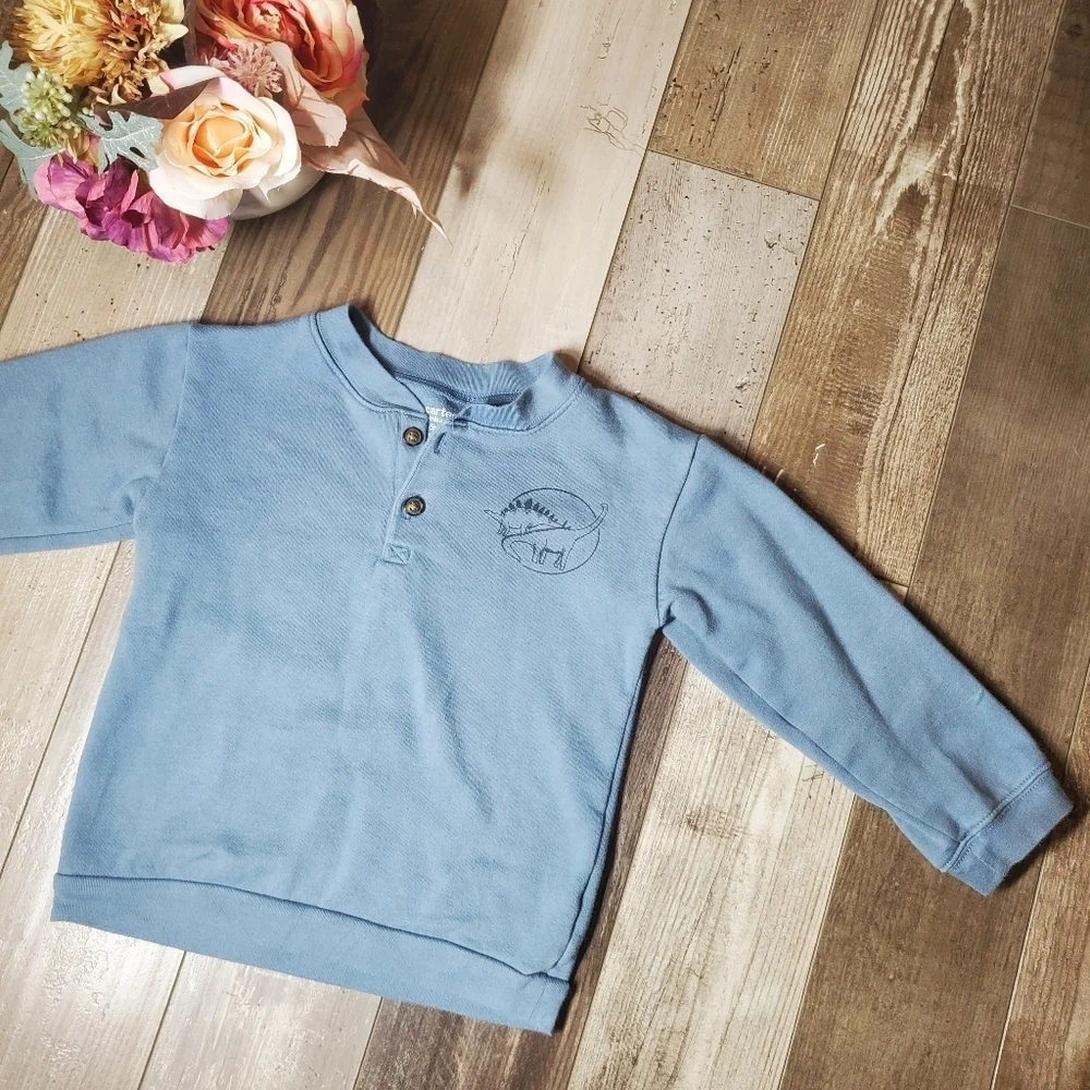 Carter's Boys Size 5T Blue Fleece Pullover Dinosaur Graphic Sweatshirt