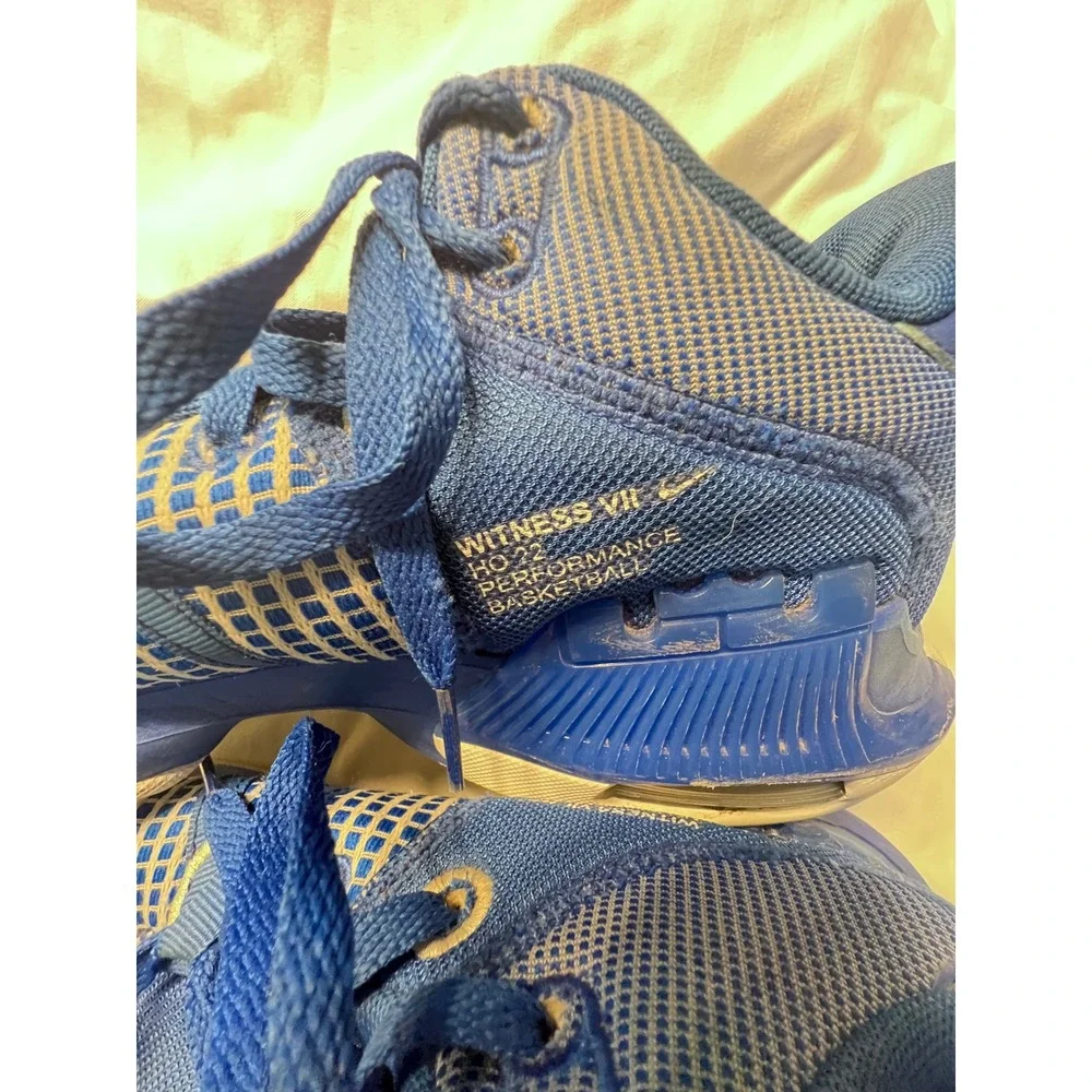 Nike lebron witness