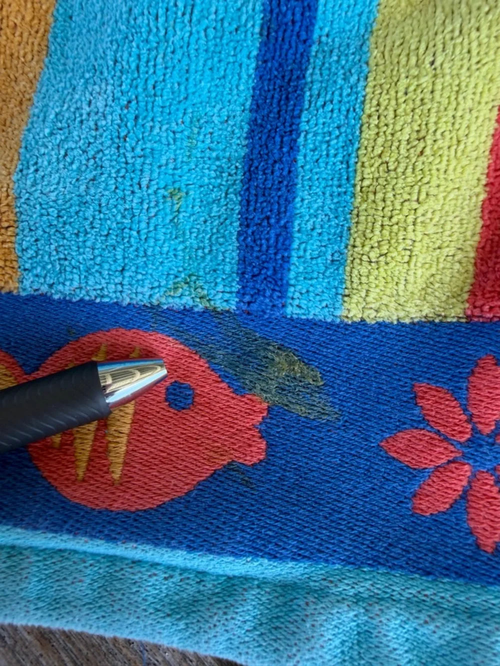 The Painted Beach vtg painted