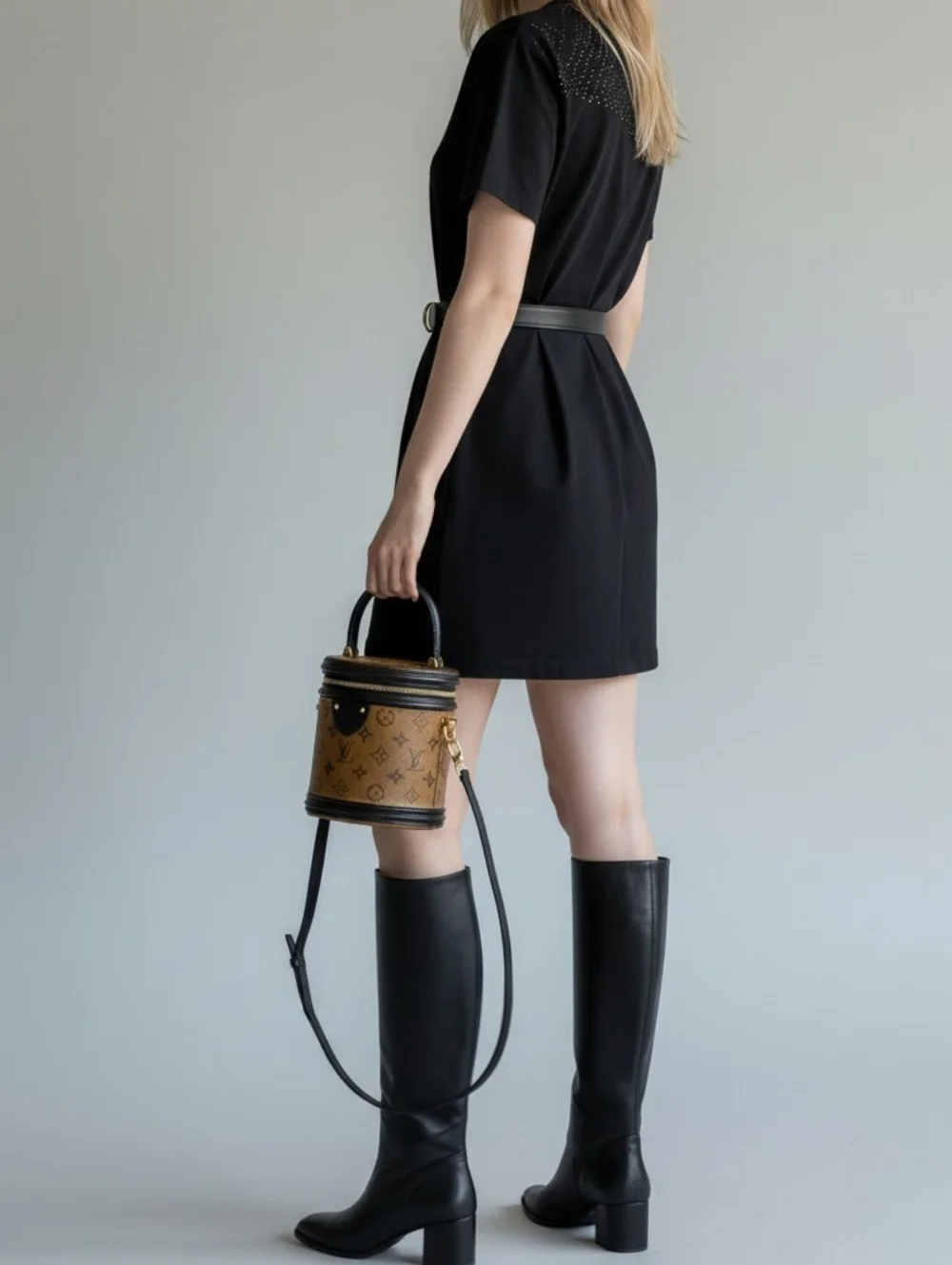 Louis Vuitton Cannes Vanity Bag Reverse Monogram Canvas Crossbody