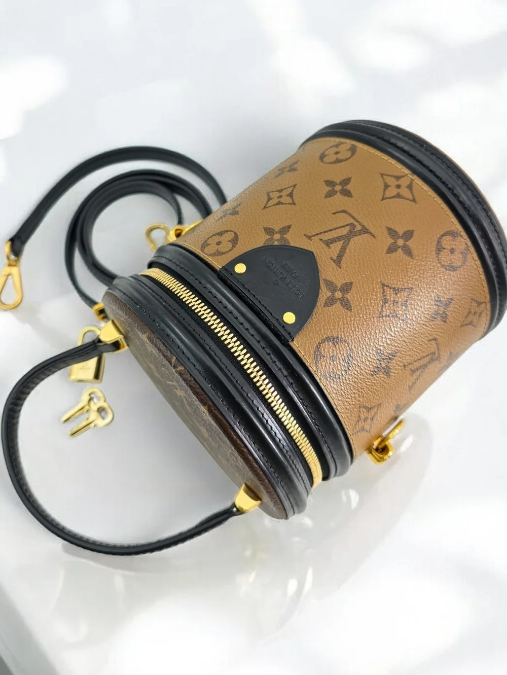 Louis Vuitton Cannes Vanity Bag Reverse Monogram Canvas Crossbody
