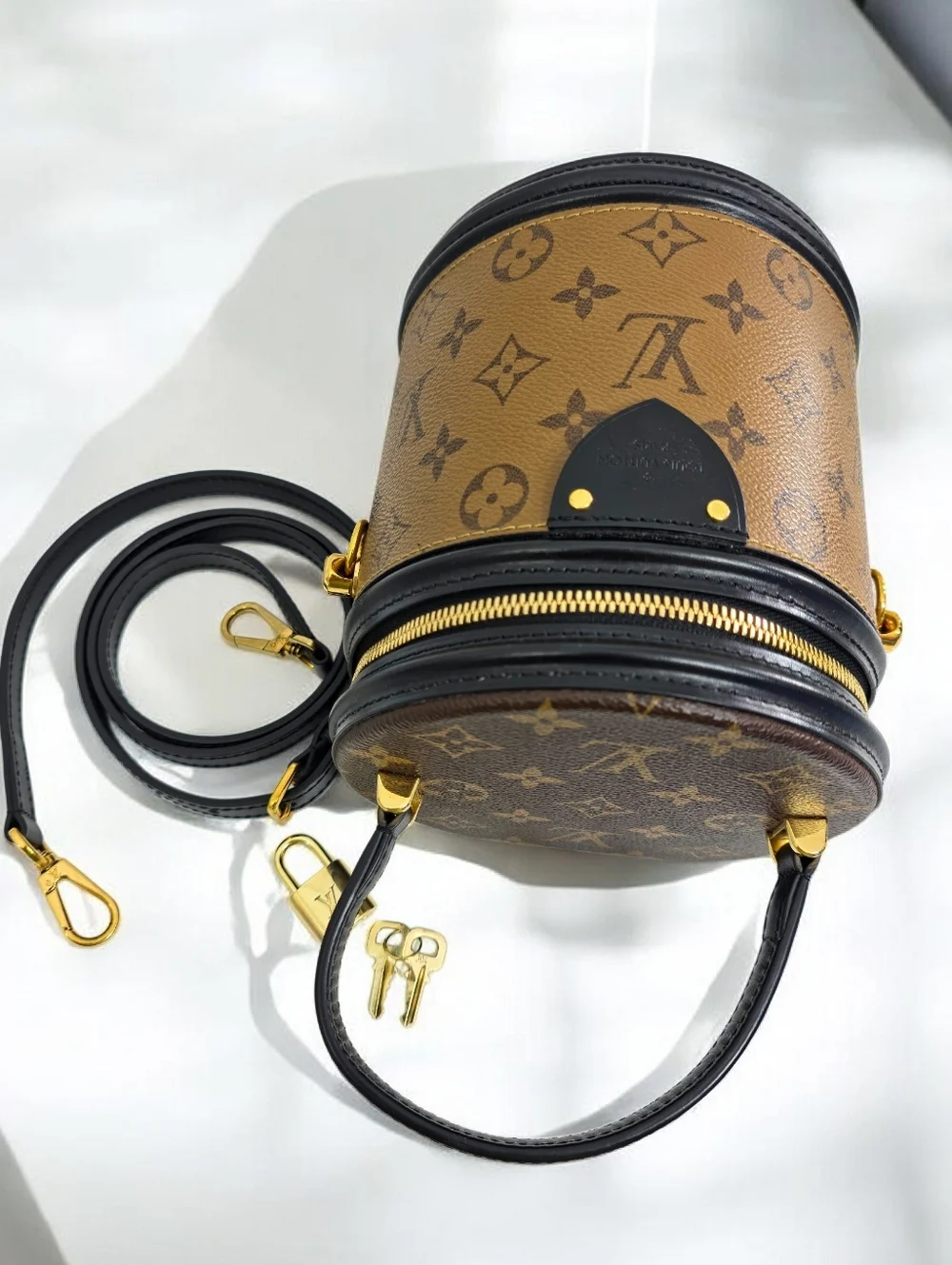 Louis Vuitton Cannes Vanity Bag Reverse Monogram Canvas Crossbody