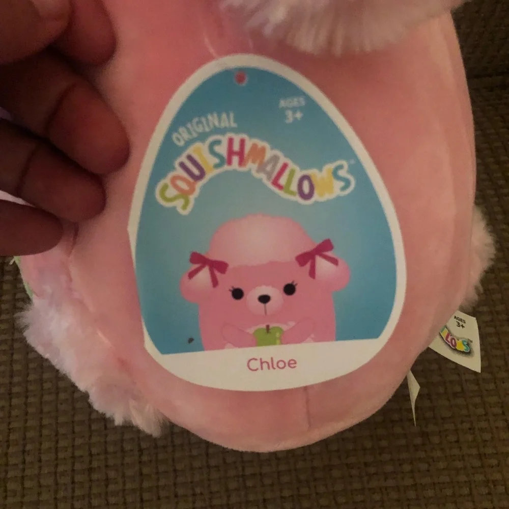 Squishmallows chloe 10