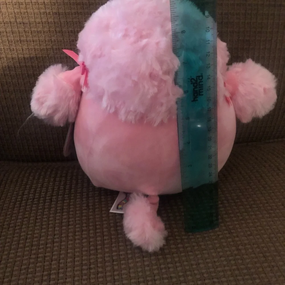 Squishmallows chloe 10