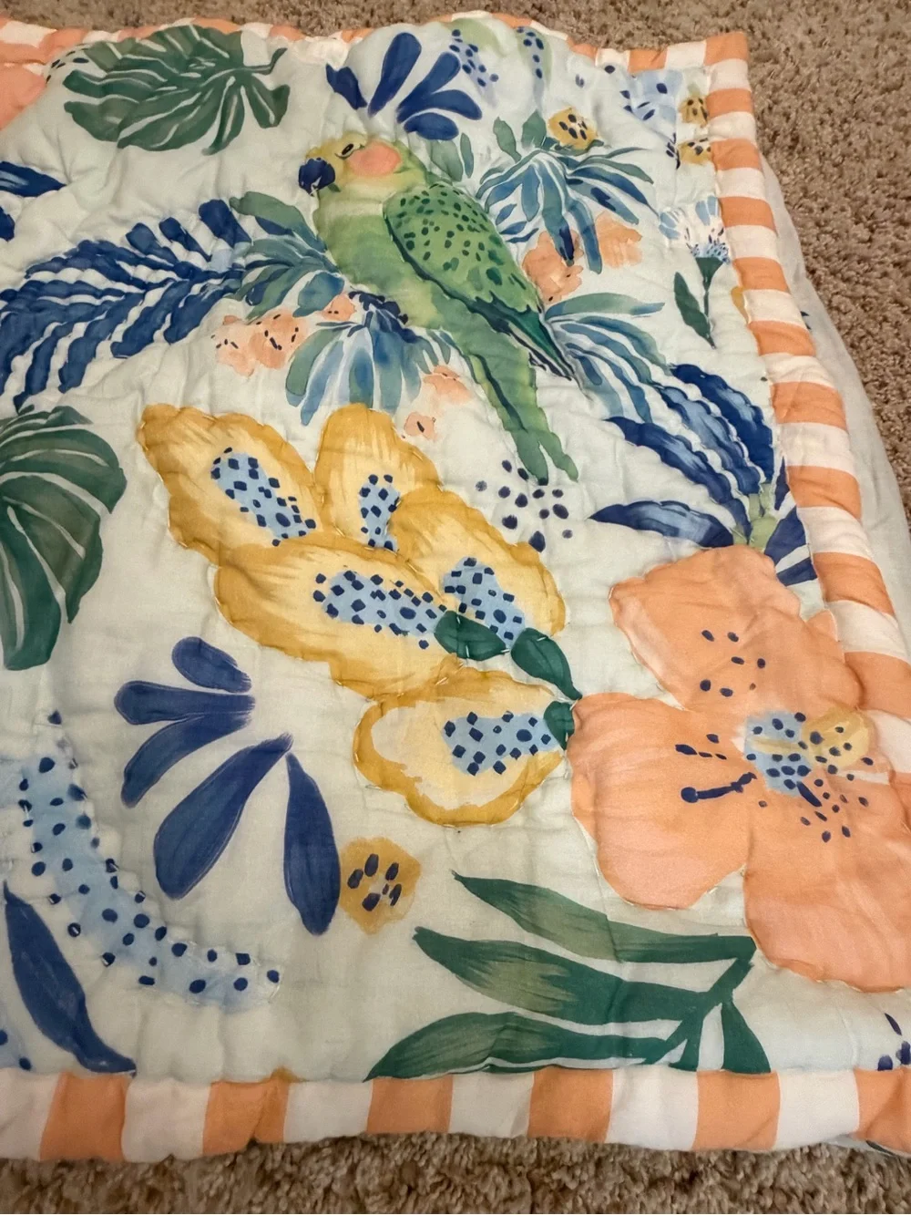 Anthropologie ❤️nwot new