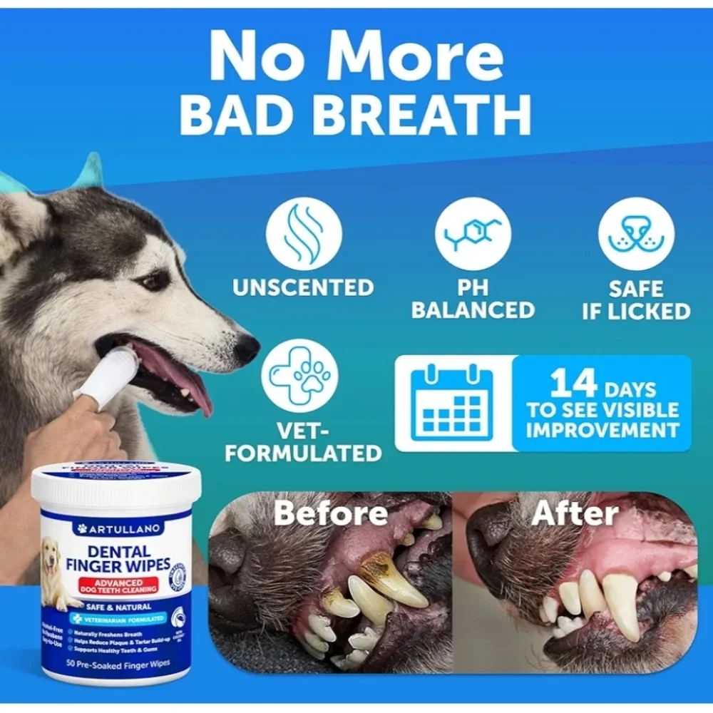 Heart4Kids dog teeth
