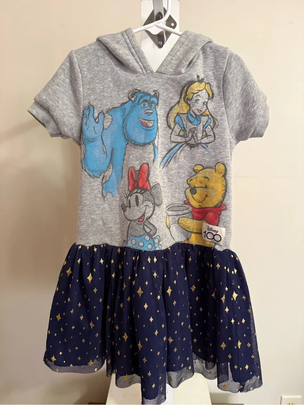 Disney 100th anniversary