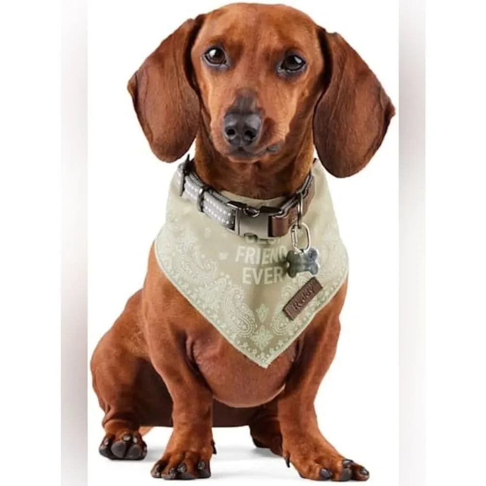 Reddy Bandana Style Pet Scarf 