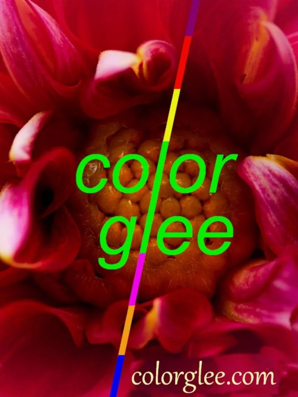 Color Glee soft stylish