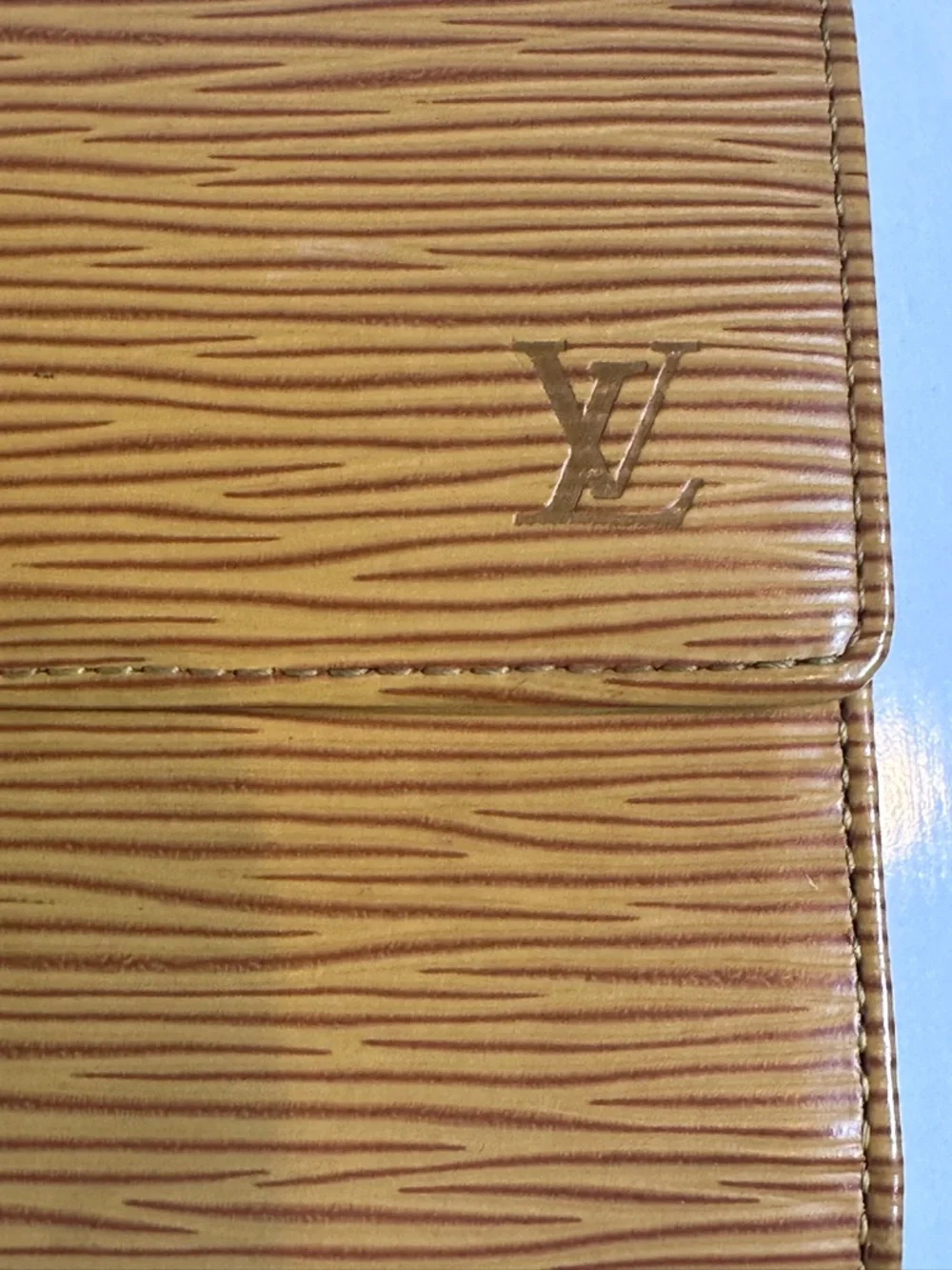 Louis Vuitton brand louis