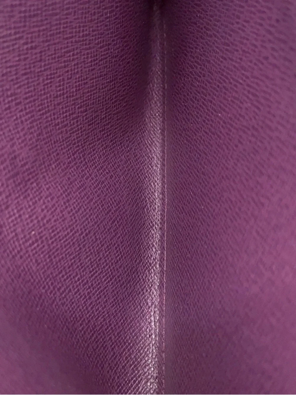 Louis Vuitton brand louis
