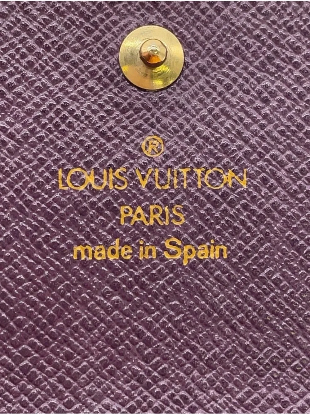 Louis Vuitton brand louis
