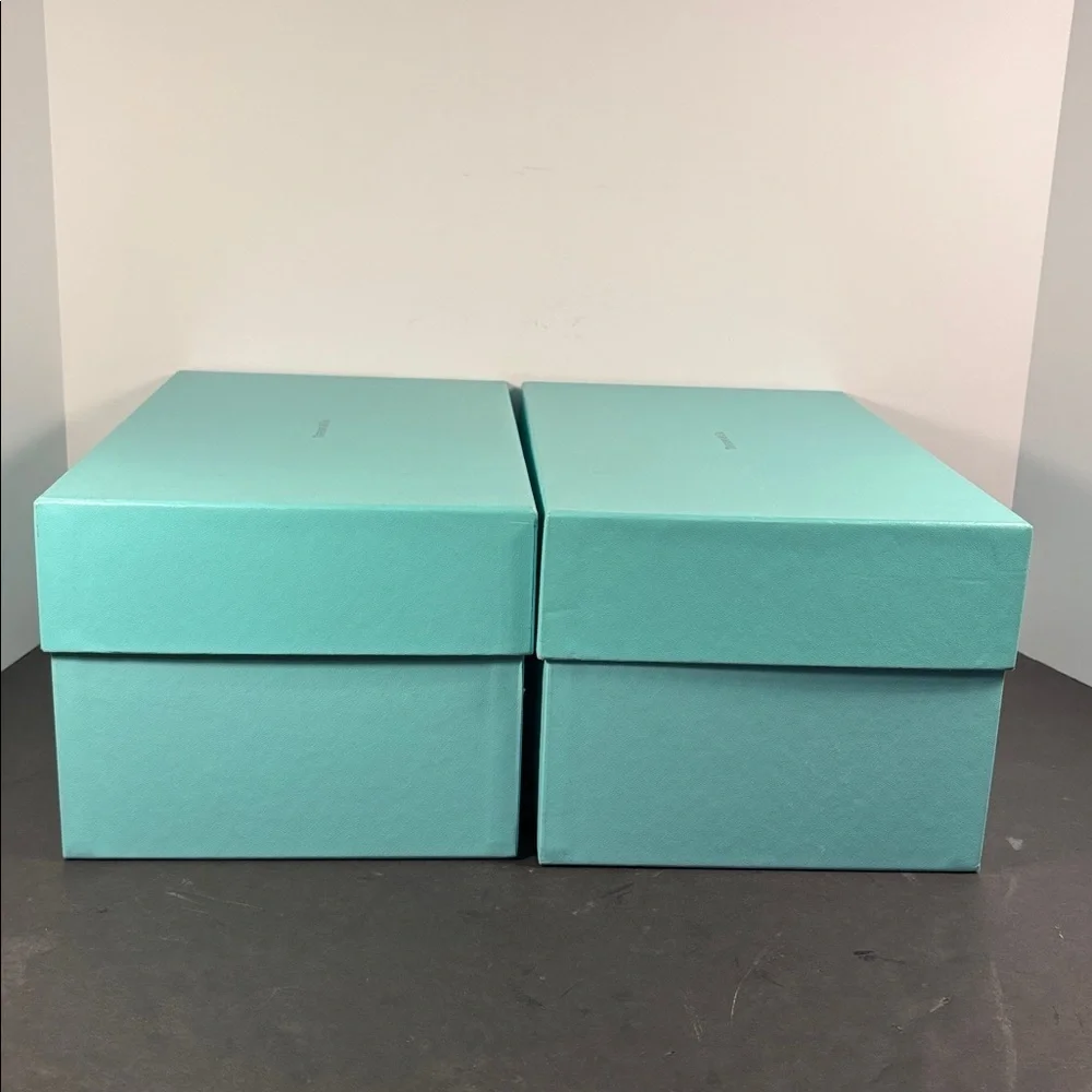 Tiffany & Co. scuffs storage presentation
