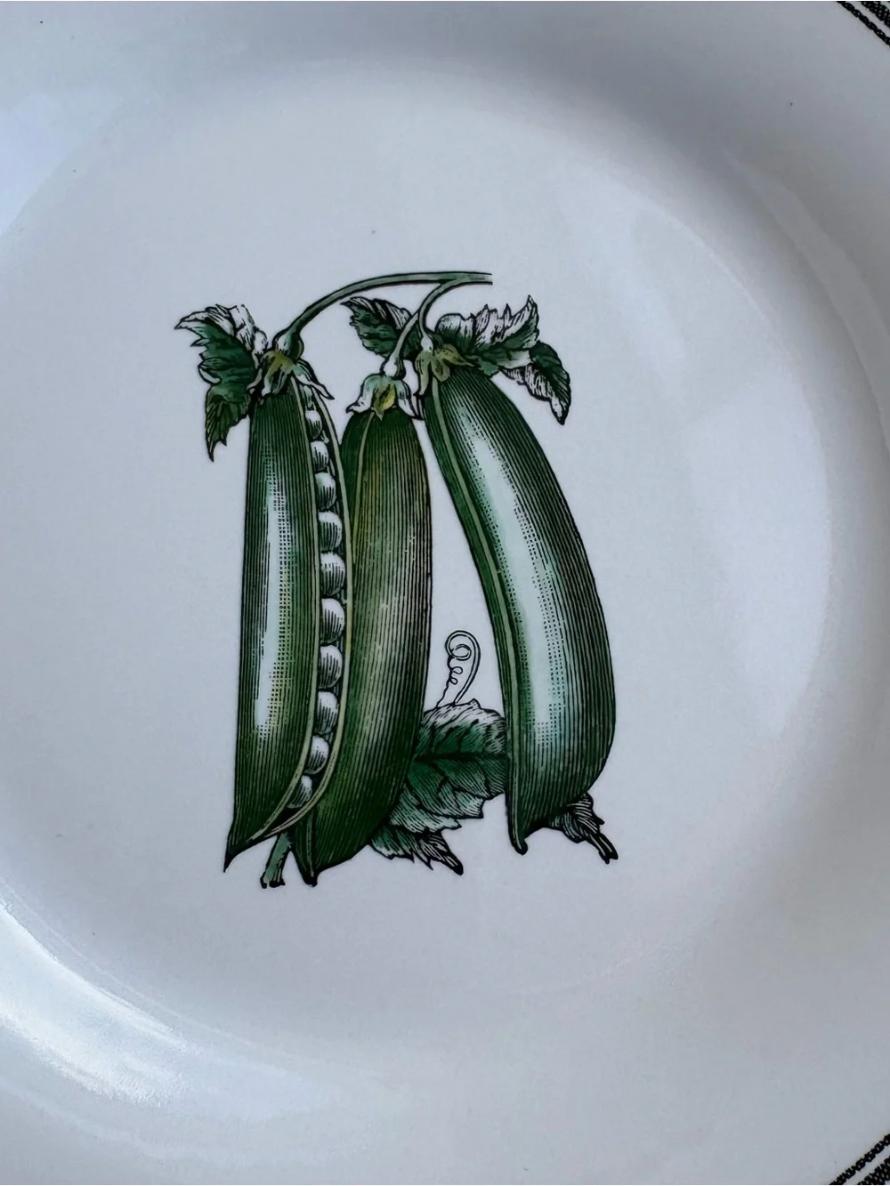 Pfaltzgraff ceramic dinner