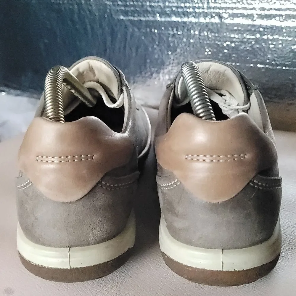 Ecco chase ii