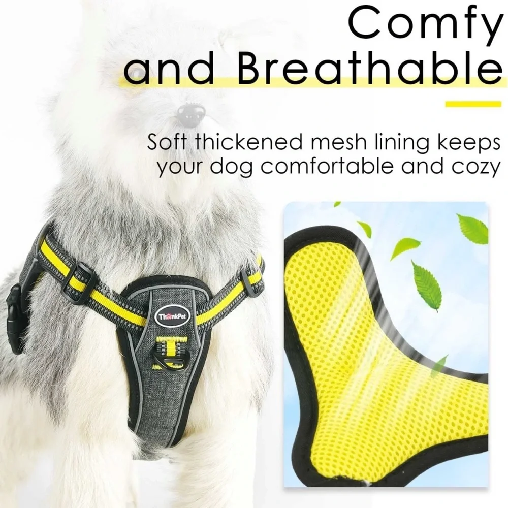 ThinkPet step dog