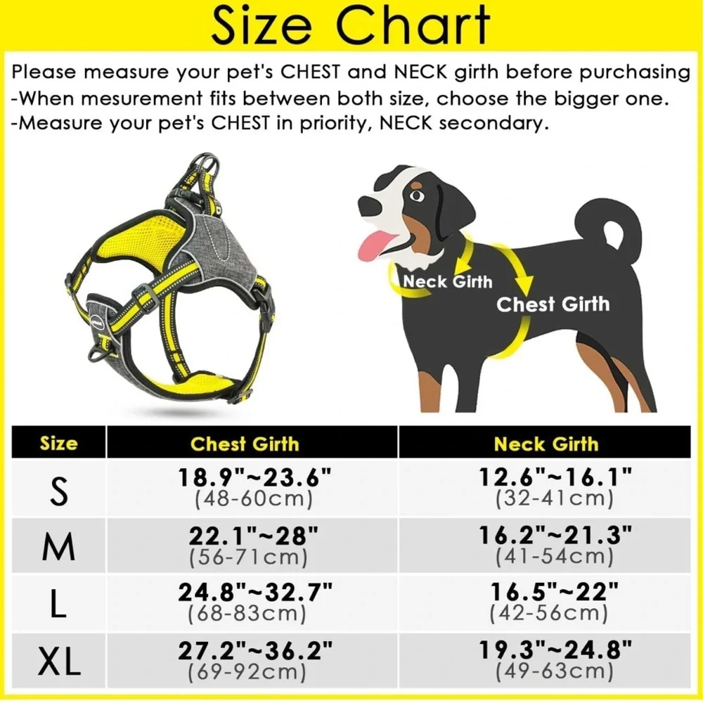 ThinkPet step dog