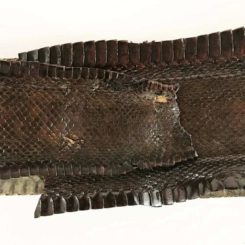 Vintage actual snake