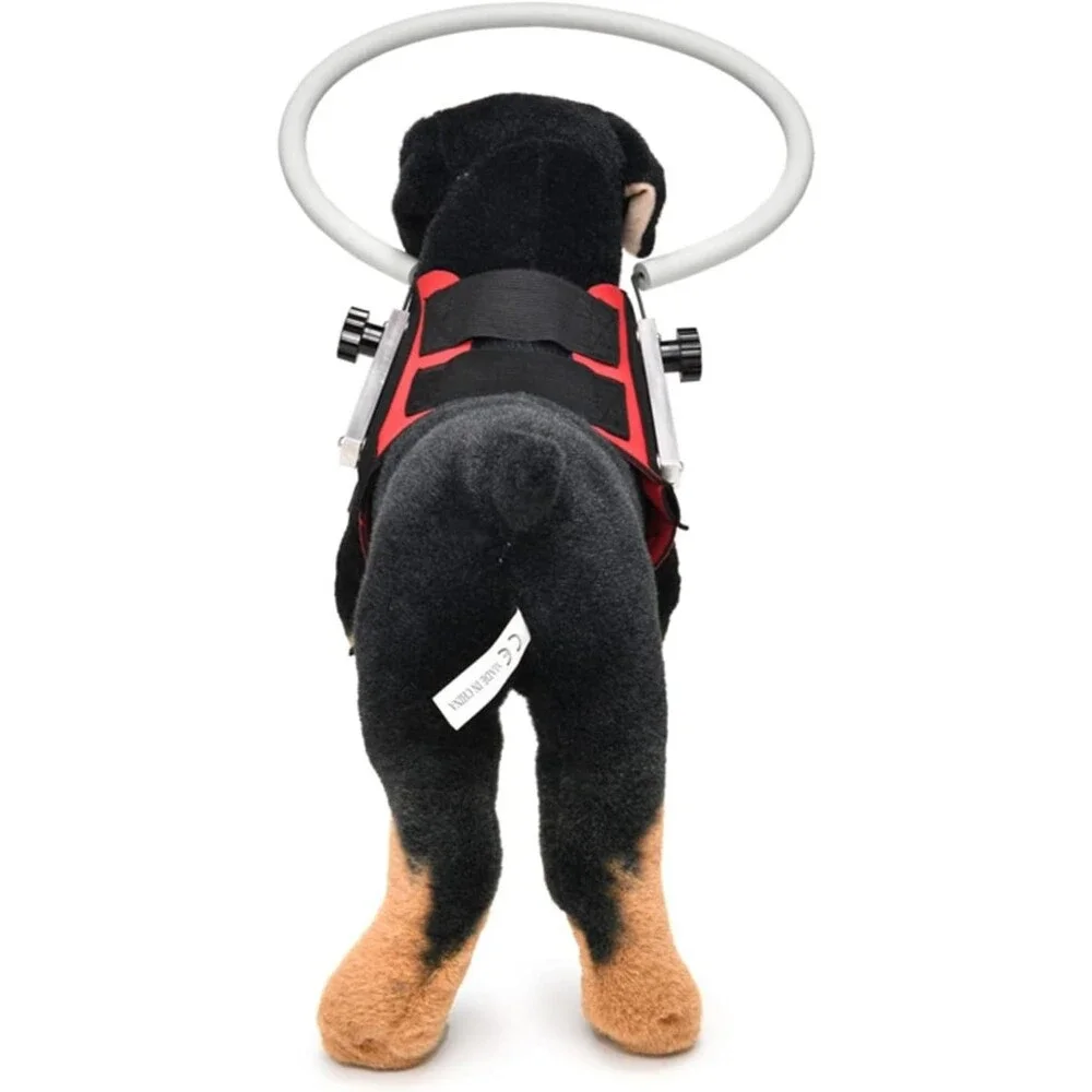 GabeFish Ring Harness for Blind Dog, Lightweight Blind Ring for Pets, Size SM