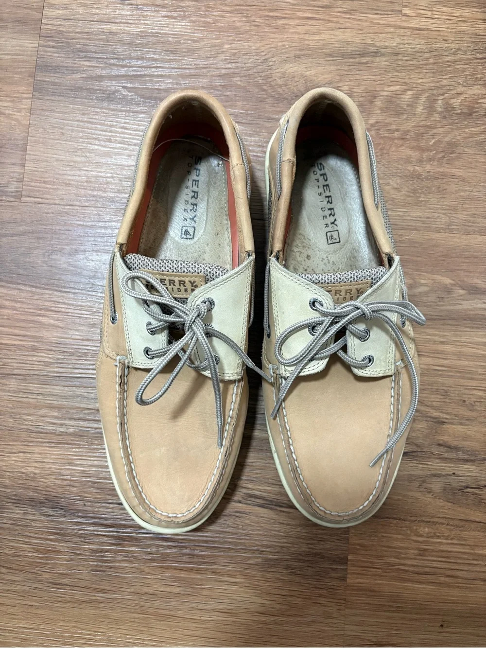 Sperry show normal marking
