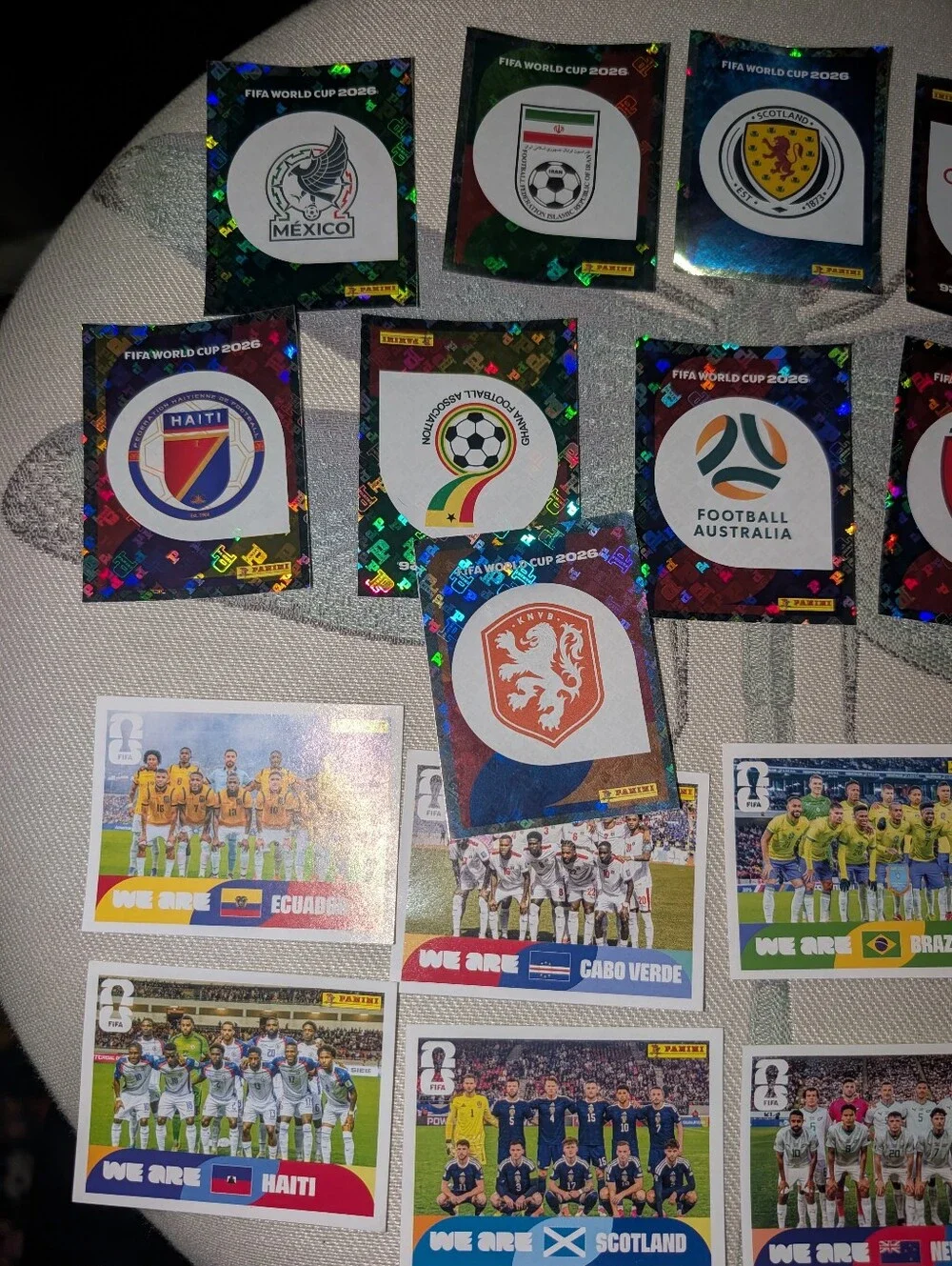 Panini fifa world