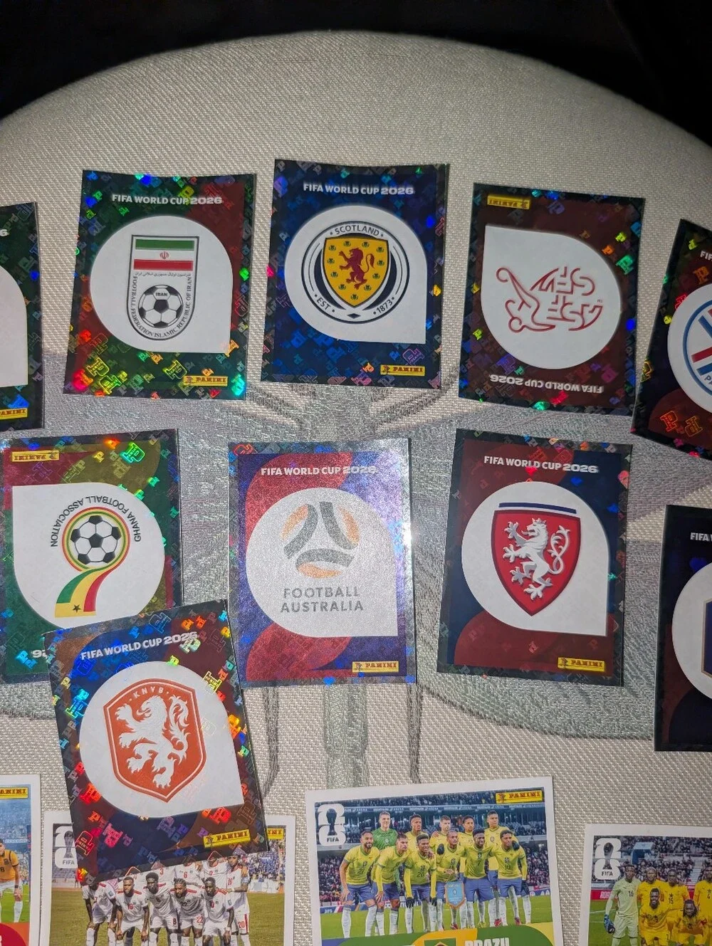 Panini fifa world