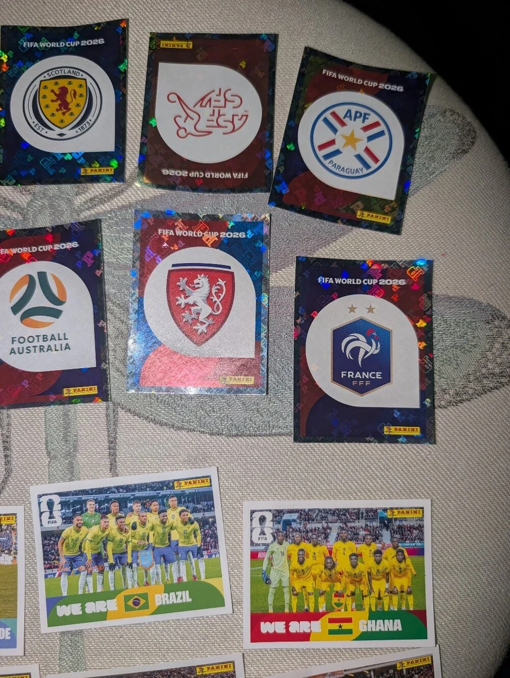 Panini fifa world