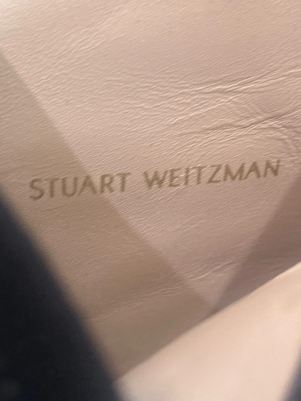 Stuart Weitzman sleek over