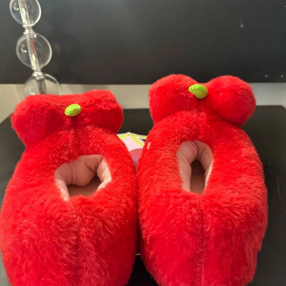 Cozy Slippers brand new