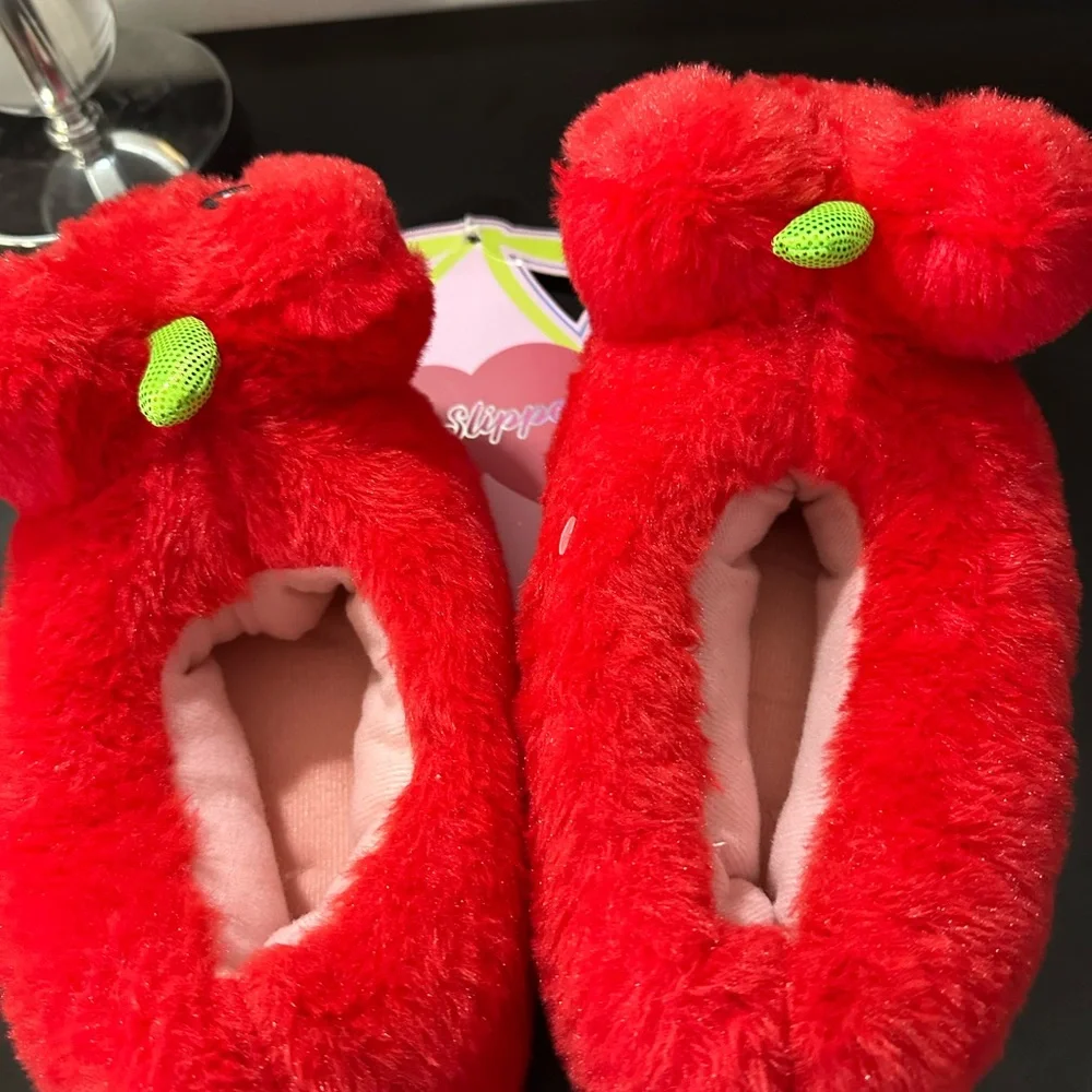 Cozy Slippers brand new