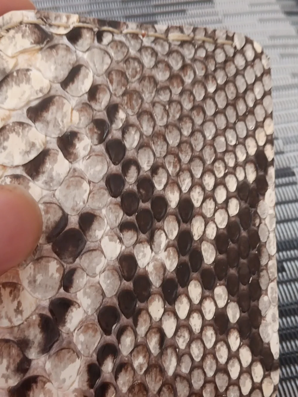 N/A mens python
