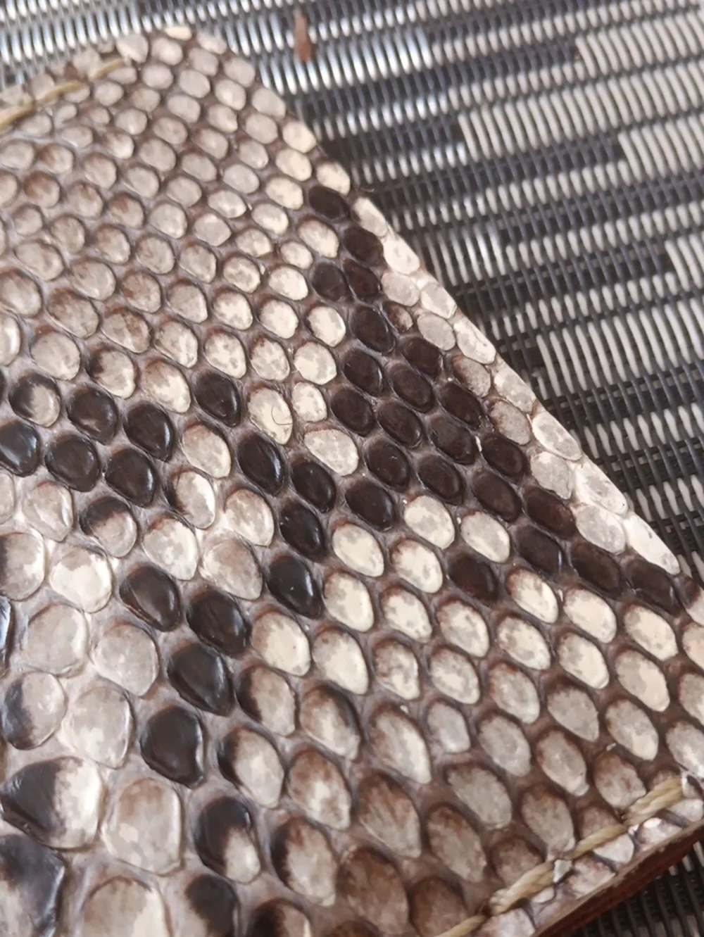 N/A mens python