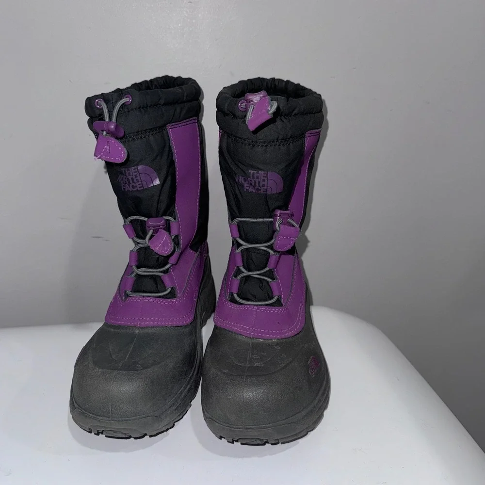 The North Face north face