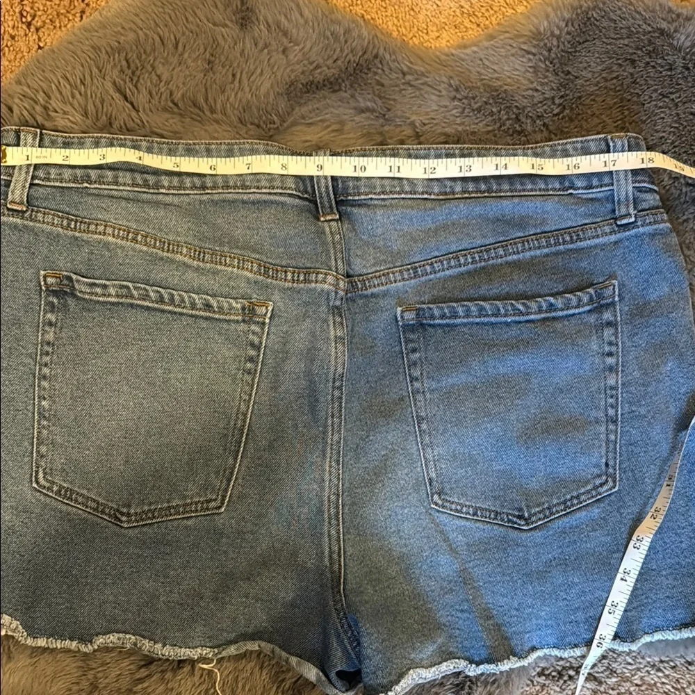 Wild Fable Distressed Denim Shorts