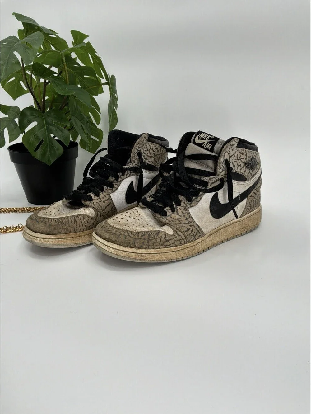 Nike og pictured