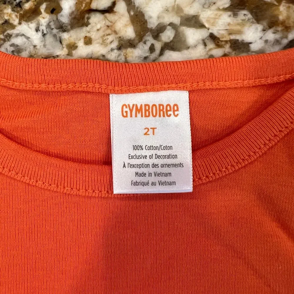 NWT Gymboree Orange & Ivory Striped Leggings & Halloween Layered Top - SIZE 2T