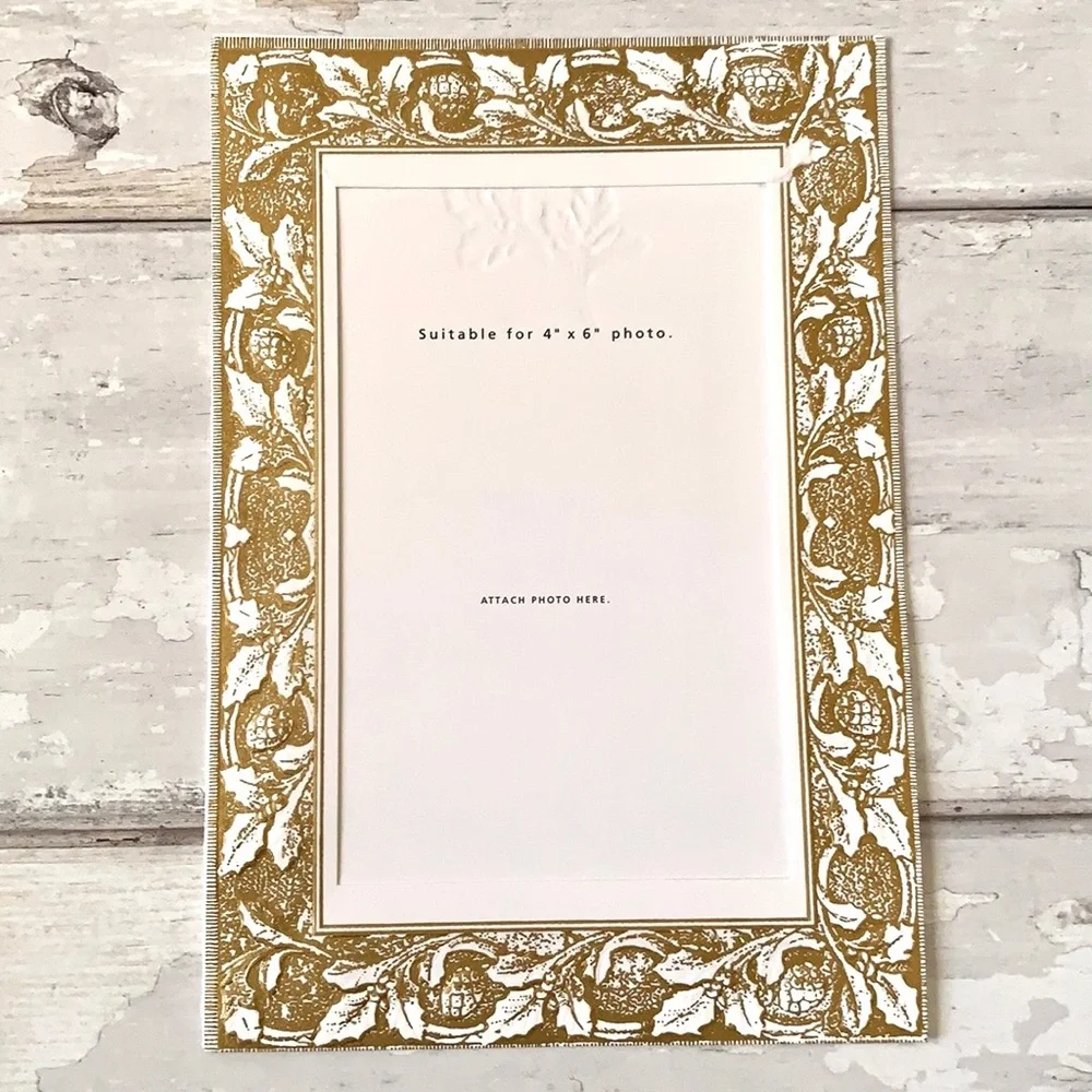 Target inserts bundle 4x6
