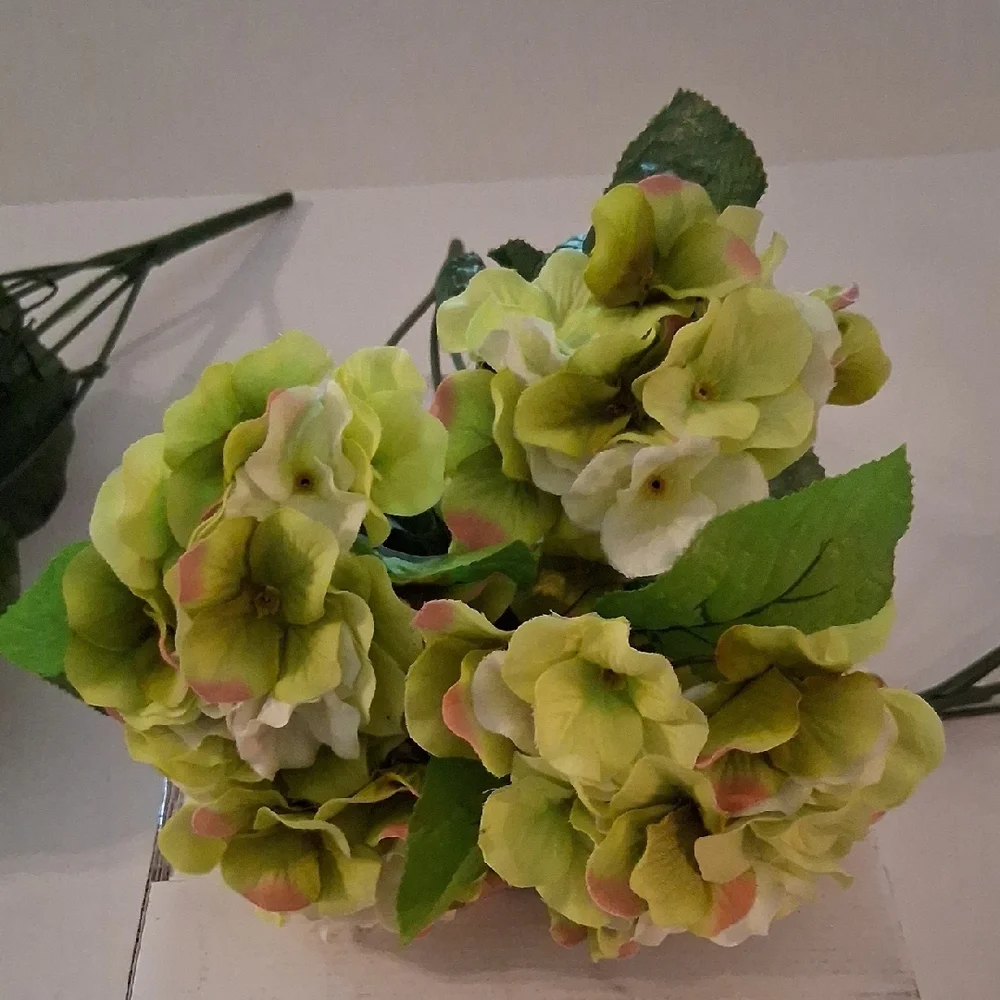 N/A beautiful green