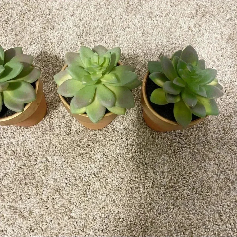 Set of 3 terracotta faux succulents new