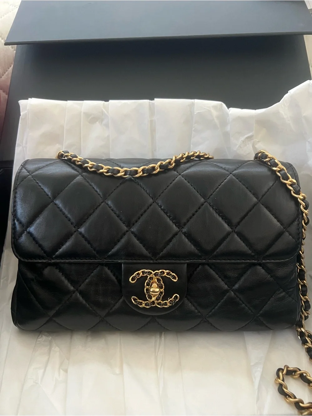 Chanel Quilted Leather Cc Accordion Flap Bag