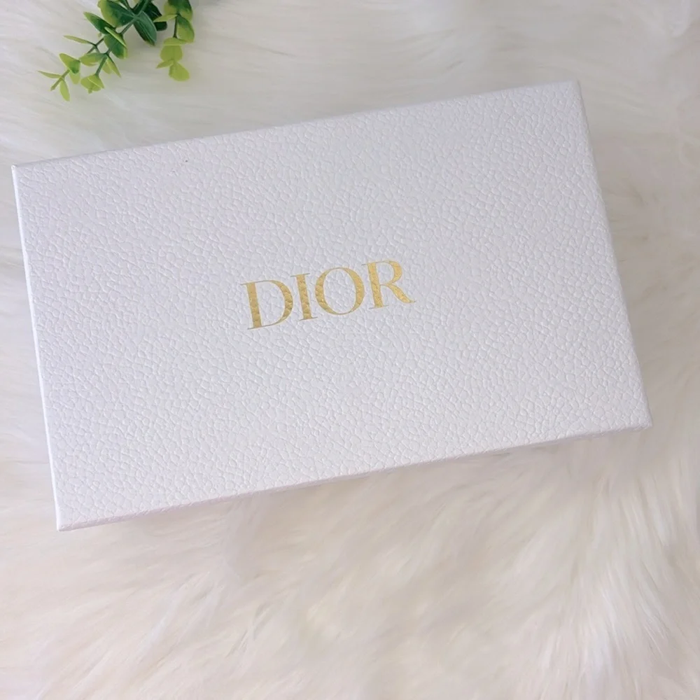 Dior great chic