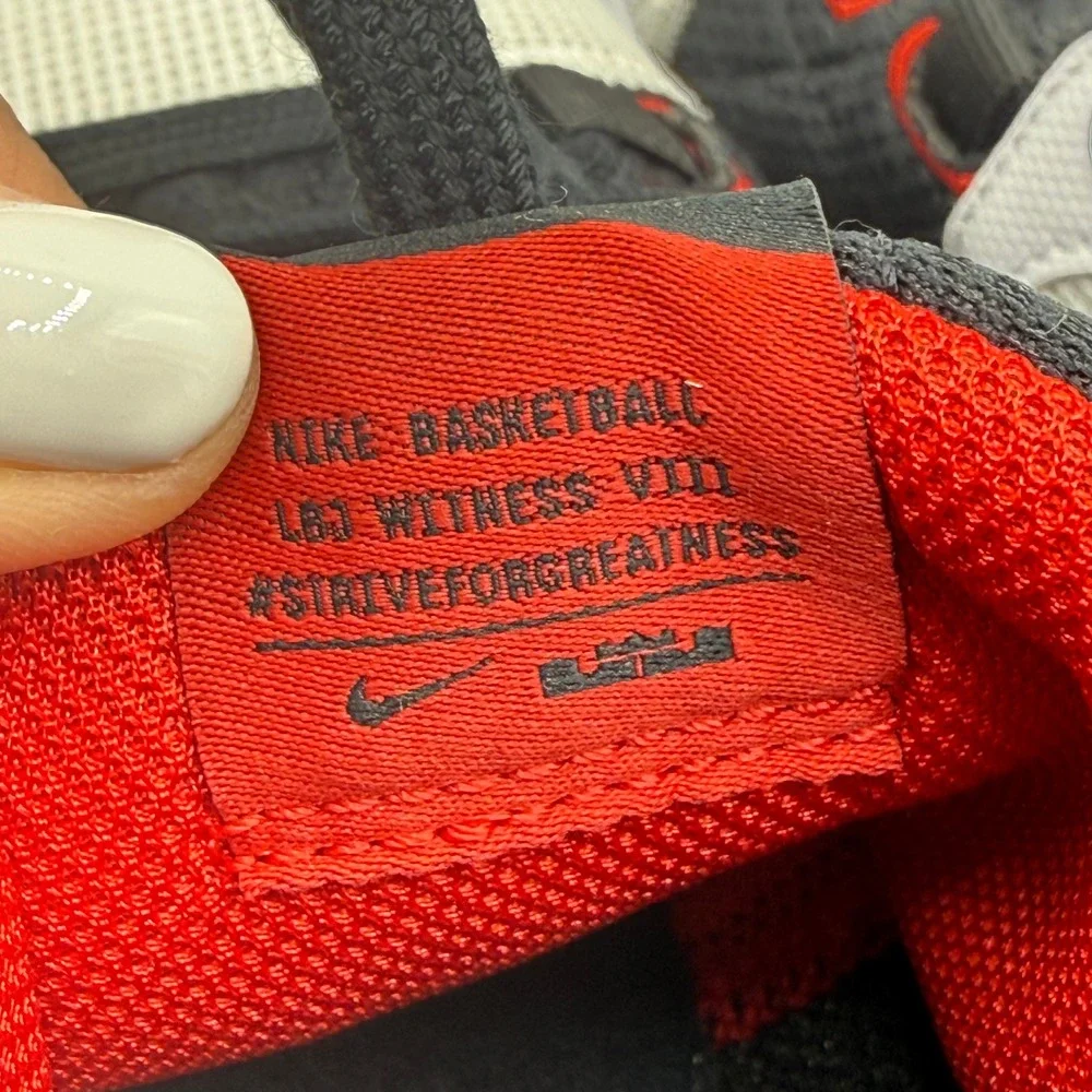 Nike lebron witness