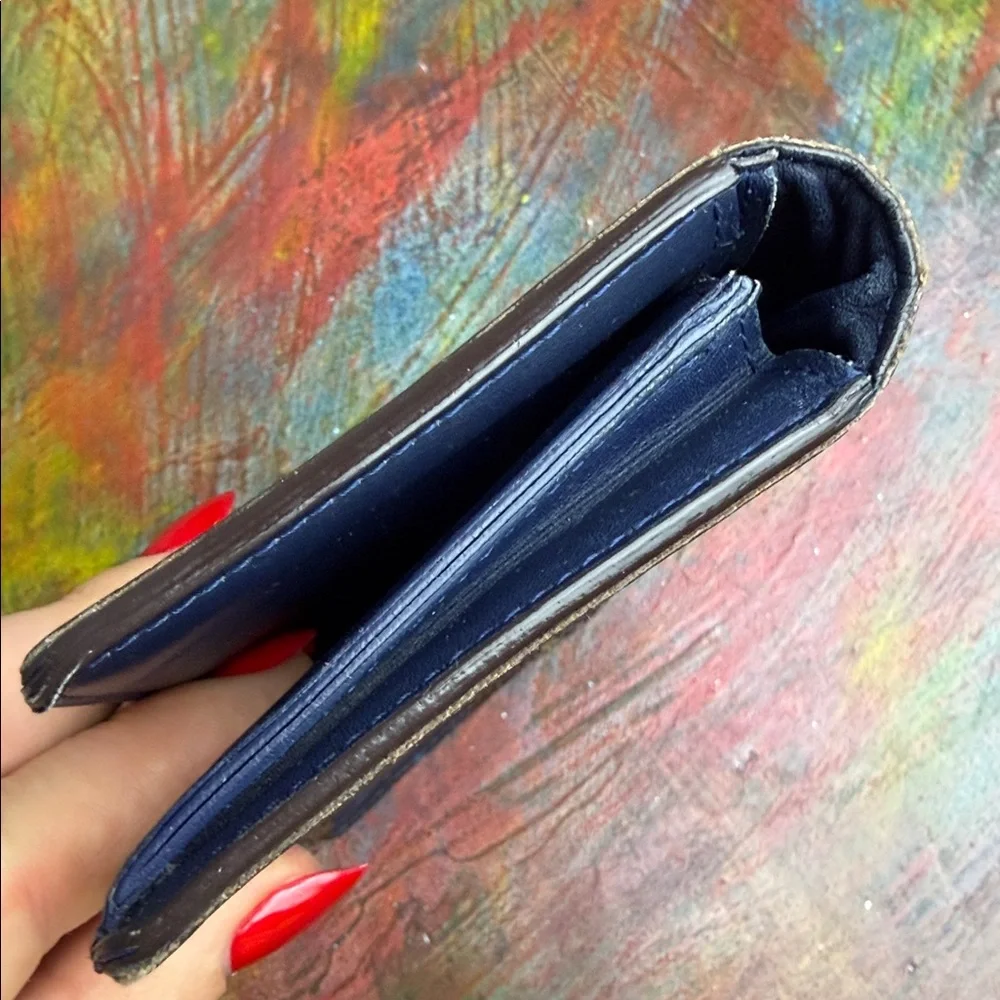 Louis Vuitton lv wallet