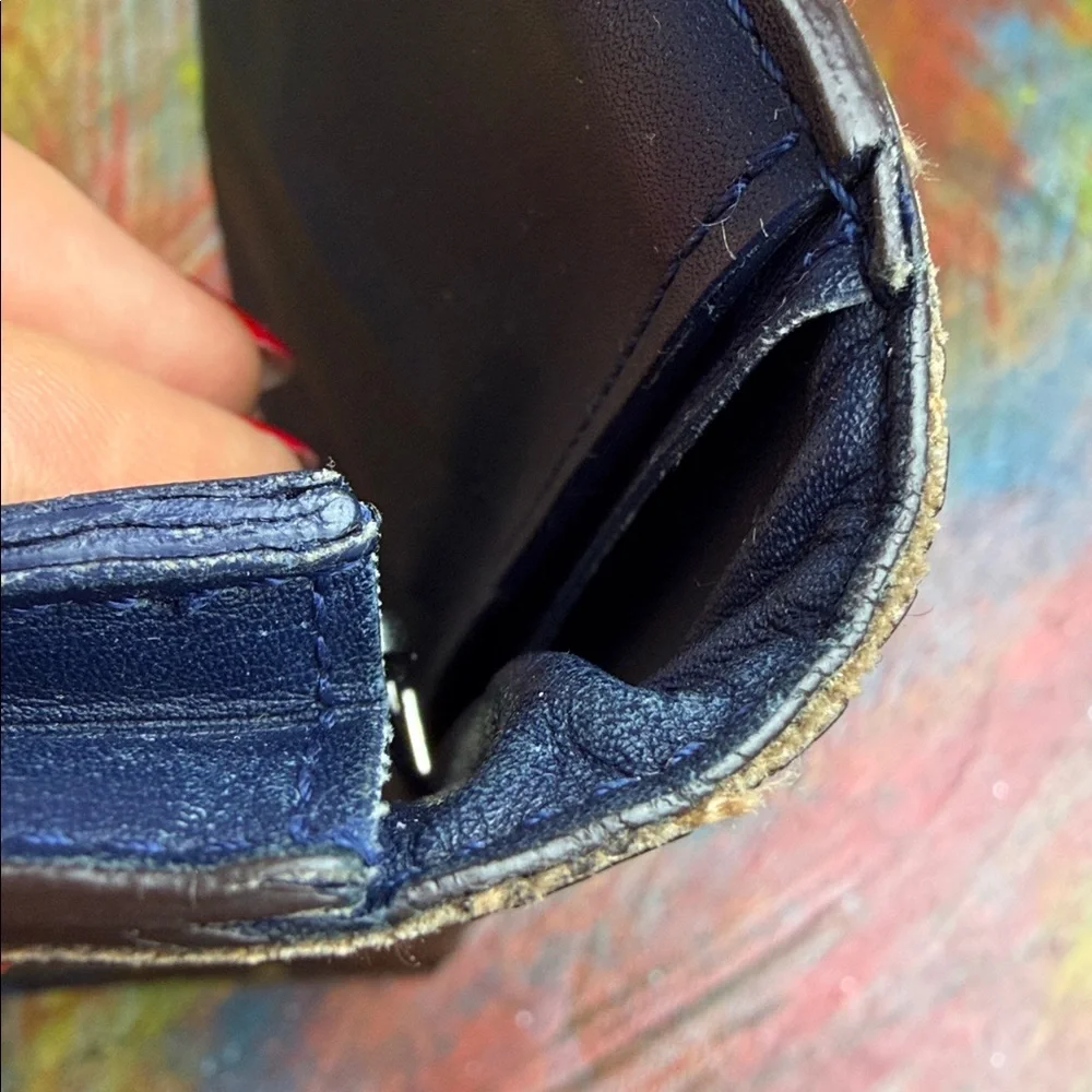 Louis Vuitton lv wallet