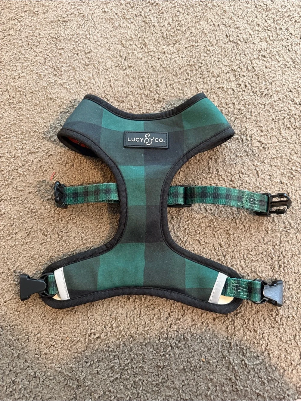Lucy & Co. soft padded