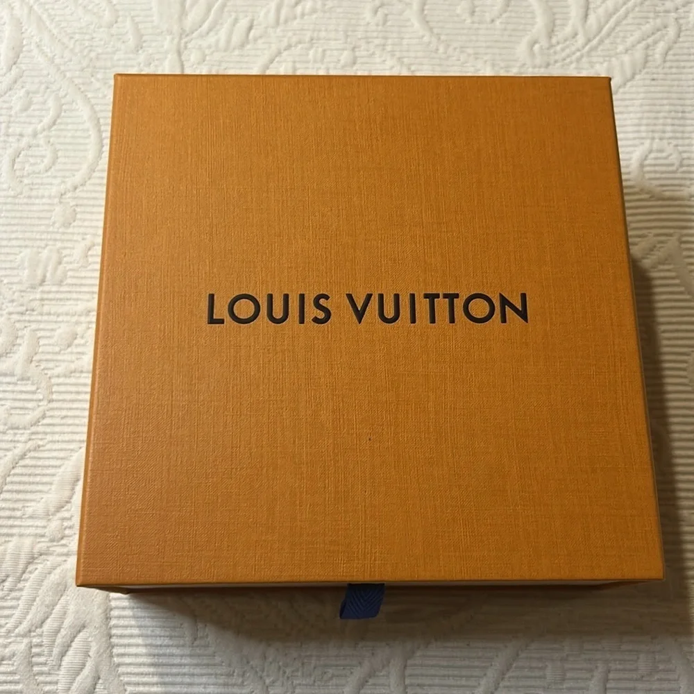 Louis Vuitton elegant louis