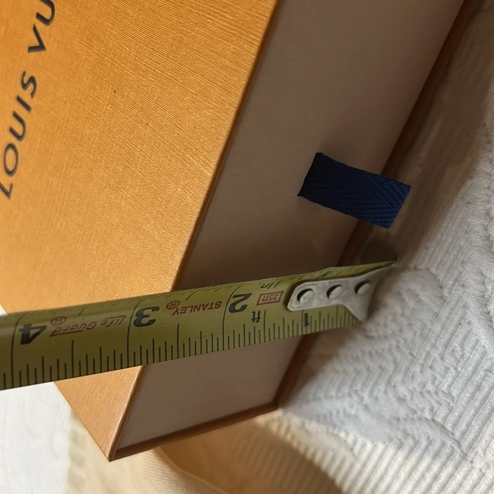 Louis Vuitton elegant louis