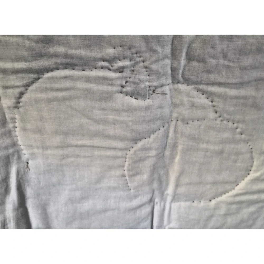 Seeds of Gratitude Quilted Panel